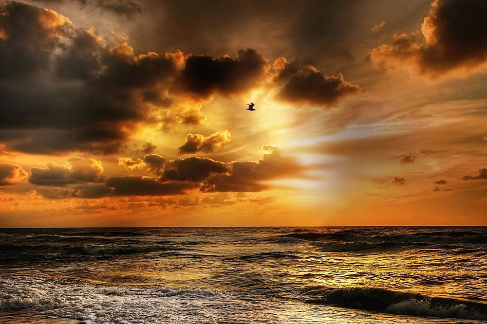 Sonnenuntergang am Meer mit goldenen Wolken und einem Vogel im Bild