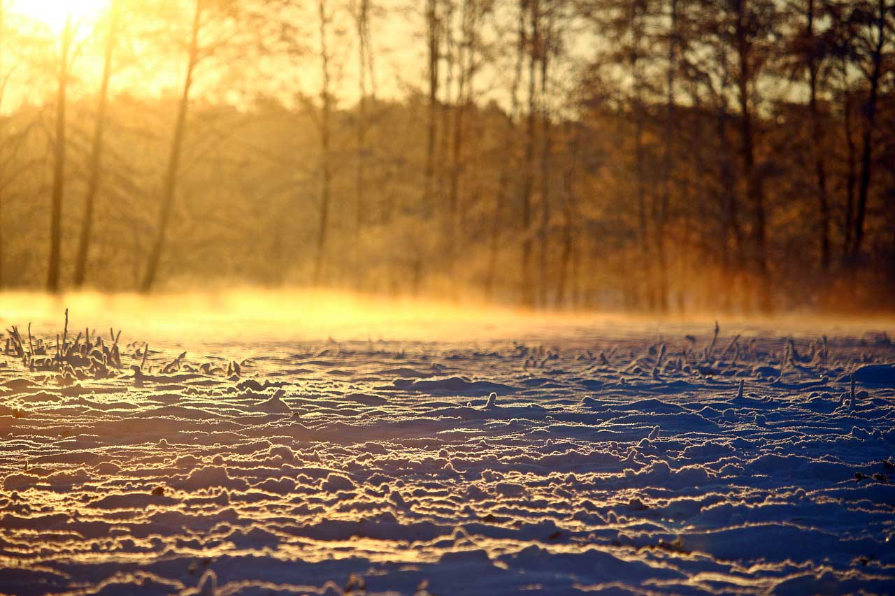 Winterlandschaft in der Dämmerung