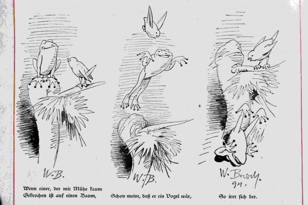 Der fliegende Frosch