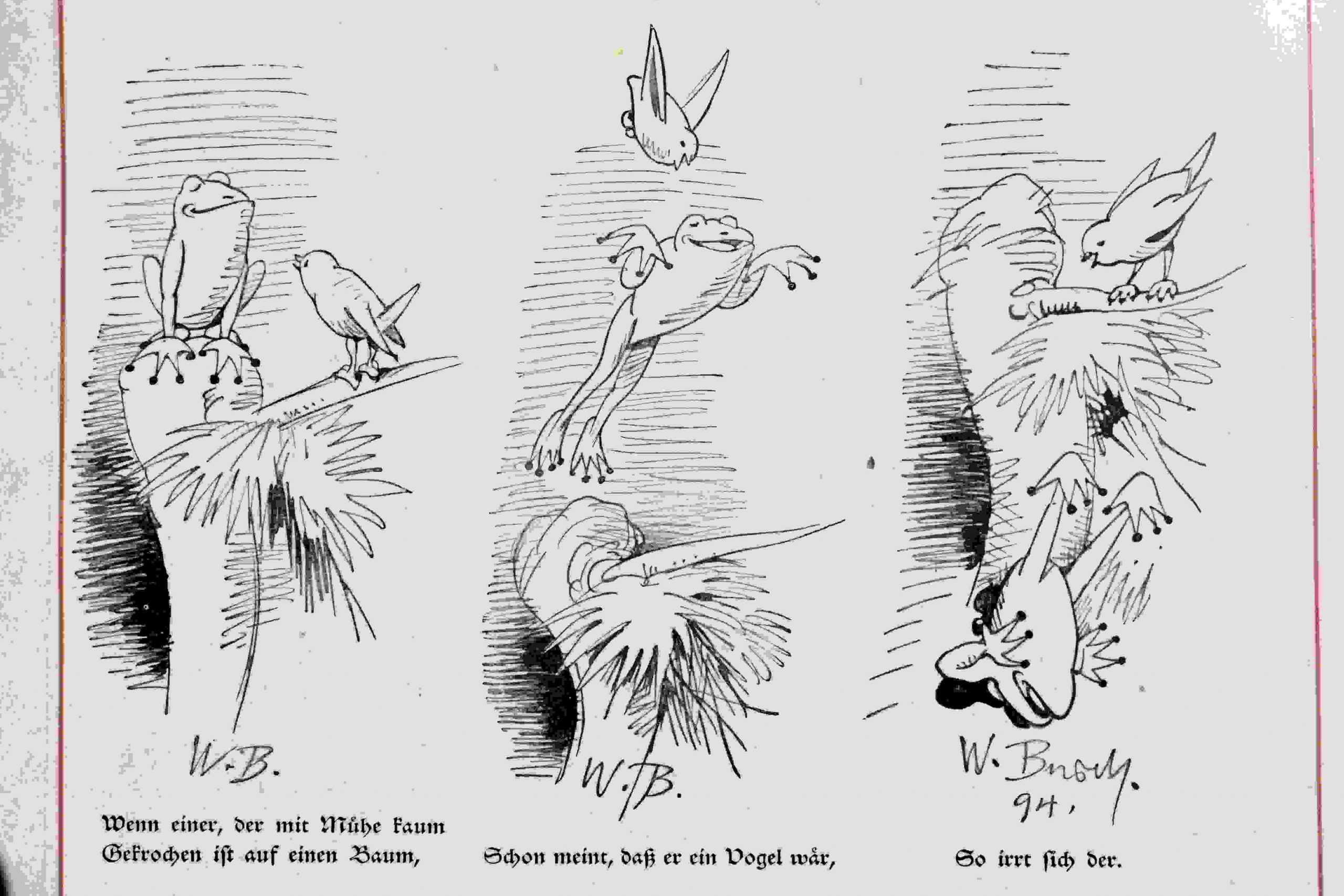 Der fliegende Frosch